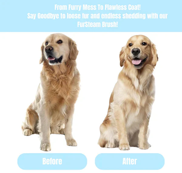 Pawbb™ FurSteam Brush