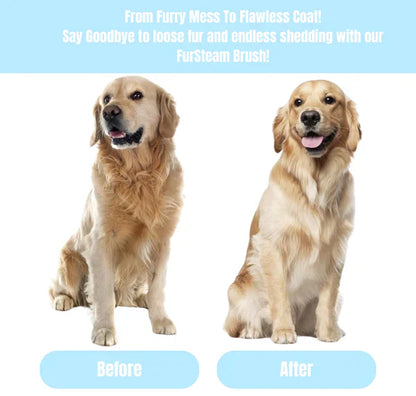 Pawbb™ FurSteam Brush