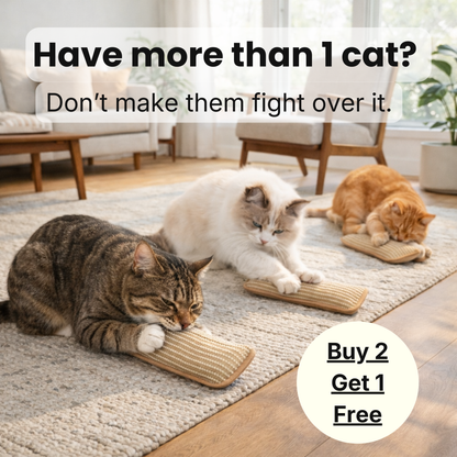 Interactive Catnip Chew Toy with [6000mg A+ Organic Catnip], Soft Sisal Material Scratching and Kicker Cat Toys for Indoor Kittens, Drives Bored Cats Crazy