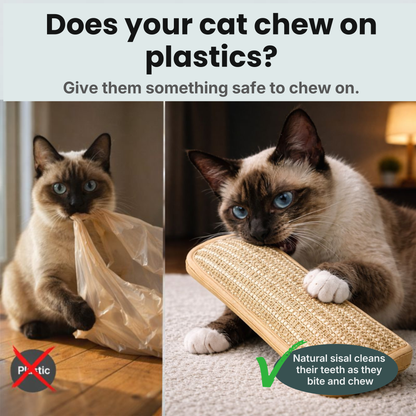 Interactive Catnip Chew Toy with [6000mg A+ Organic Catnip], Soft Sisal Material Scratching and Kicker Cat Toys for Indoor Kittens, Drives Bored Cats Crazy
