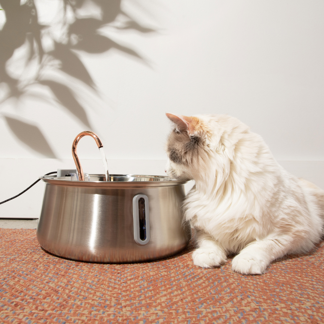 Lazyfuzzy Health & Happiness Cat Kit