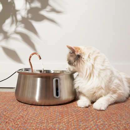Lazyfuzzy Health & Happiness Cat Kit