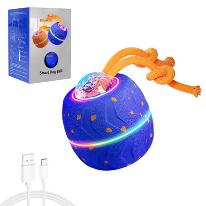 🔥 🔥 Wicked Ball Rolly Automatic Rotating Dog Toy