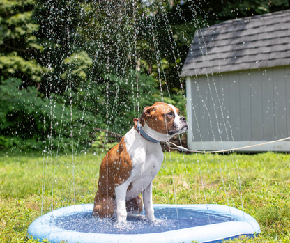 Refreshing Dog Sprinkler Pad