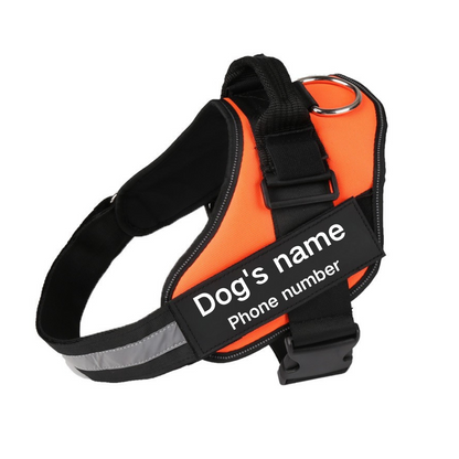Ultimate Personalized No Pull Dog Harness
