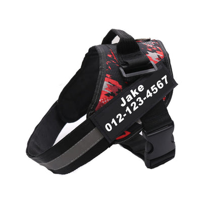 Ultimate Personalized No Pull Dog Harness