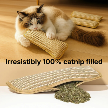 Interactive Catnip Chew Toy with [6000mg A+ Organic Catnip], Soft Sisal Material Scratching and Kicker Cat Toys for Indoor Kittens, Drives Bored Cats Crazy