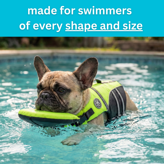 floaty - dog life jacket with head rest
