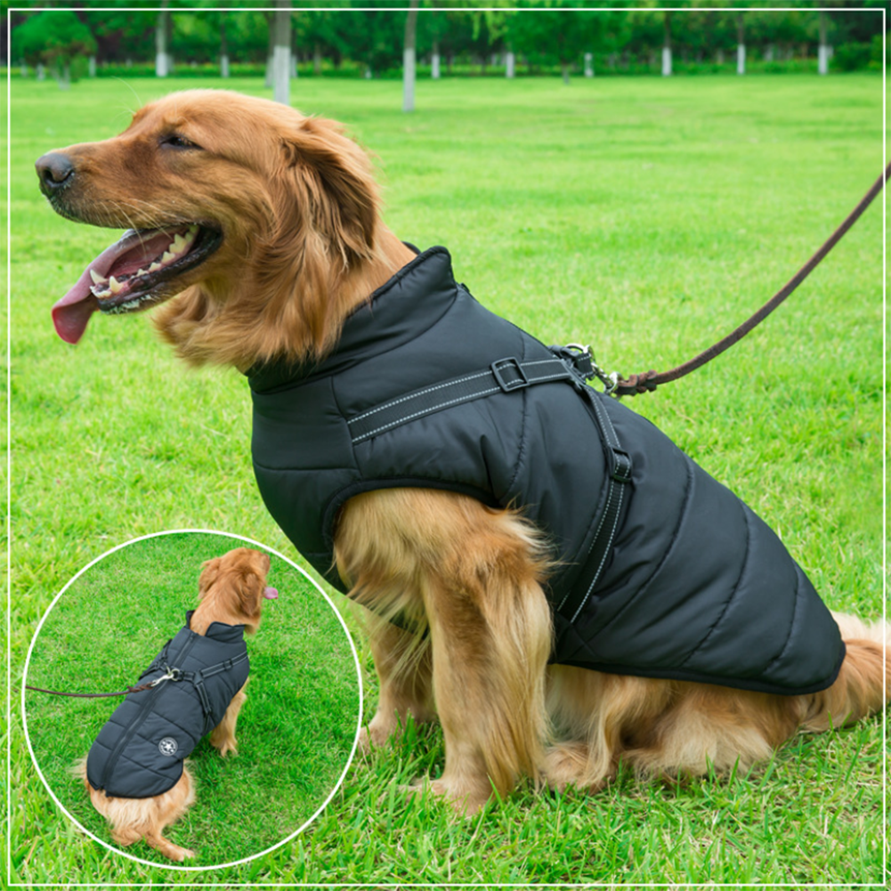 Waterproof Winter Jacket with Built-in Harness - Buy 2 Pcs Enjoy Free Shipping!