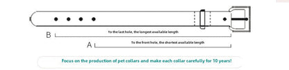Anti-bite Rivet Fashion Pet Collar